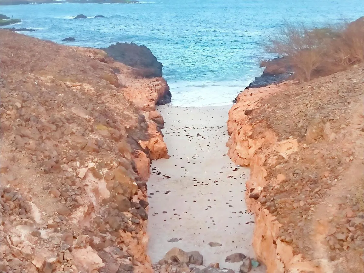 Delfini Resort Sal Rei Yeşil Burun Adaları