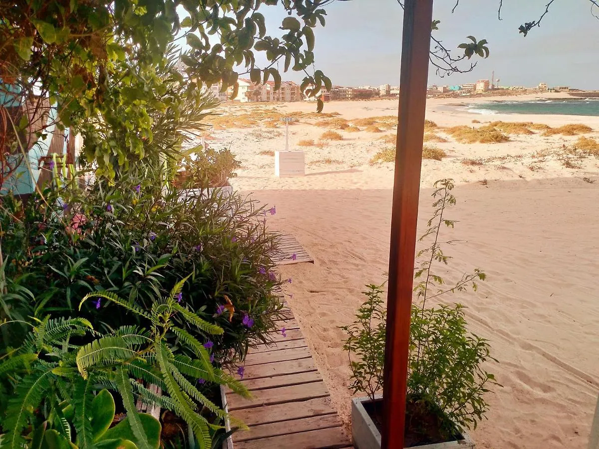 Delfini Resort Sal Rei Daire